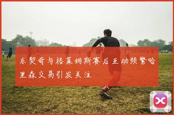 东契奇与格莱姆斯赛后互动频繁哈里森交易引发关注