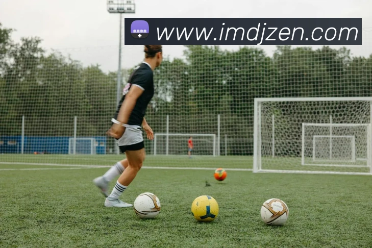 IM电竞平台生态图